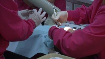 Kids in Milford Receive Free Dental Services