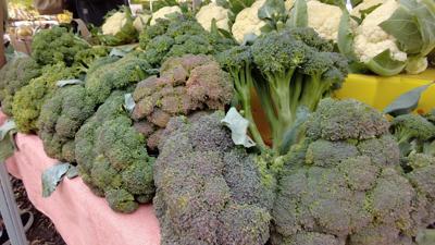 Stag Run Farm Vegetables