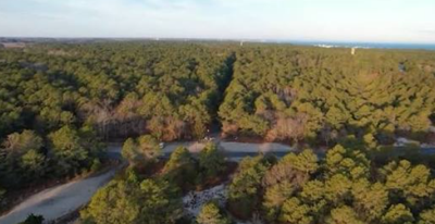 Delaware State Parks launches virtual 5K to celebrate 75th anniversary