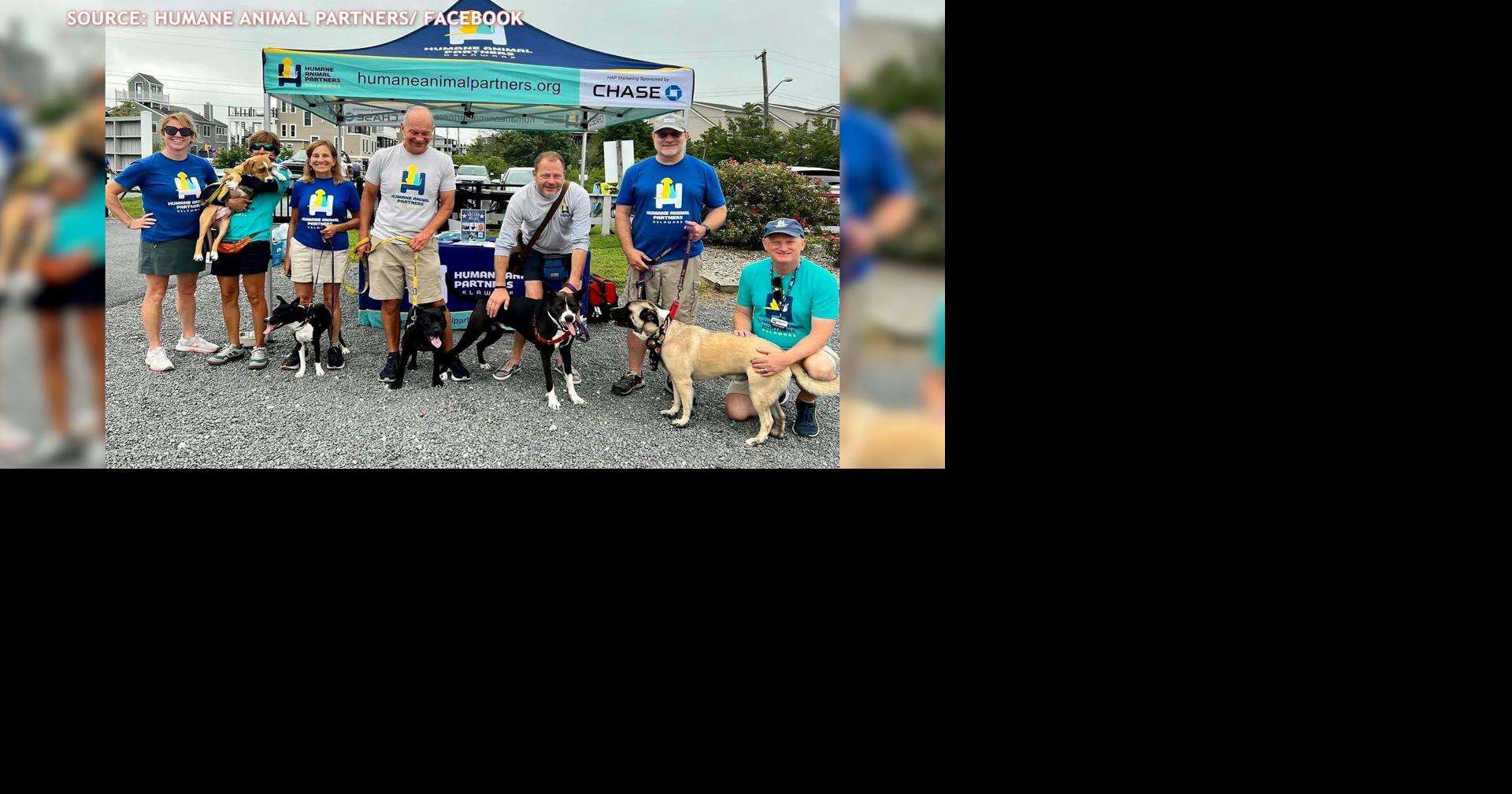 Race for the Paws: Run, Walk & Support Delaware's Shelter Pets