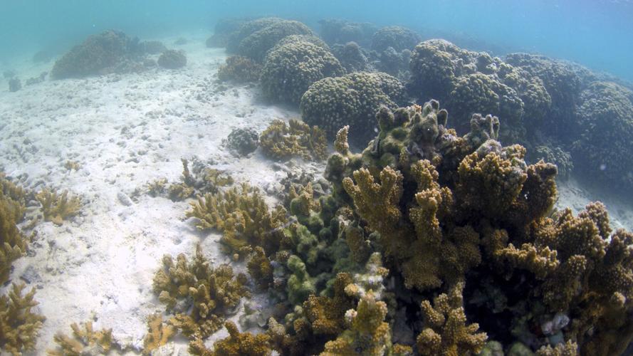 Hawaii Climate Change Lawsuit