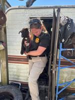 Smyrna man charged after 19 dogs rescued, previously faced cruelty charges
