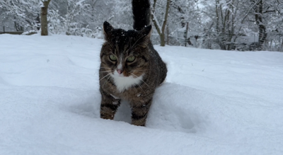 Experts say prolonged exposure to freezing conditions can quickly lead to health issues.