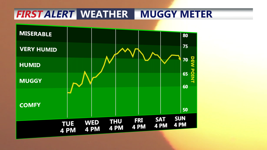 Muggy Meter