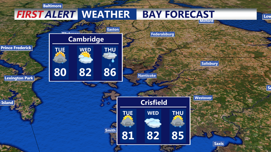 BAY FORECAST