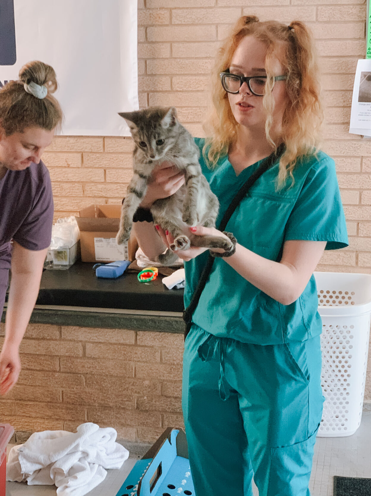 veterinary care