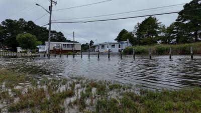 Oak Orchard
