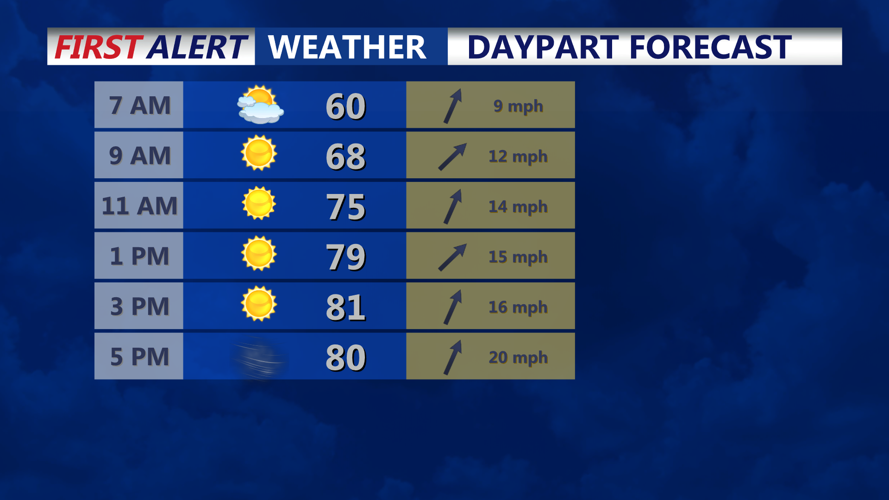 DAYPART FORECAST