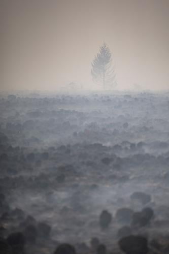 APTOPIX Belgium Wildfires