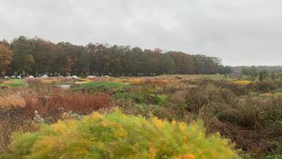 Delaware Botanic Gardens Brings Community Together for Free Admission Weekend