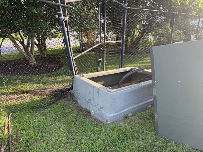 JUNGLE JIMS POWER.jpg