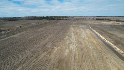 Saltwater Intrusion on Farmland