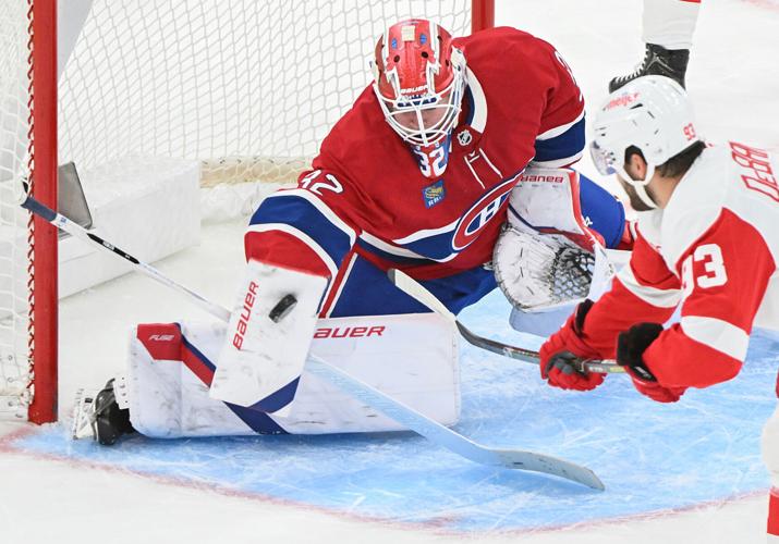 Red Wings Canadiens Hockey