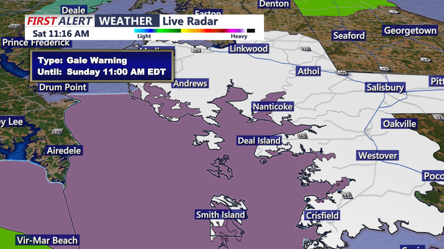 GALE WIND WARNING - CRISFIELD