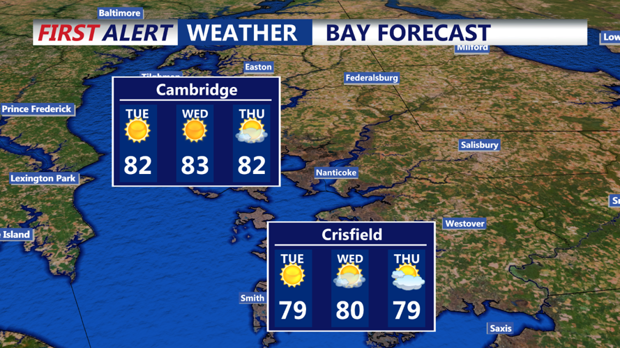 BAY FORECAST