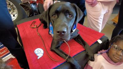New Therapy Dog Comes to the Ocean City Fire Department