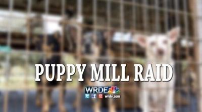 UPDATE: Puppy Mill Raided in Wicomico County, More than 300 Puppies Seized
