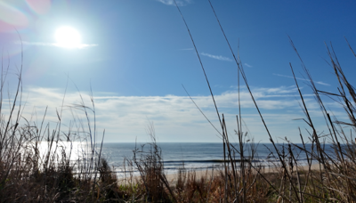 Delmarva sees warm-up after cold snap as people enjoy the coast despite state park closures