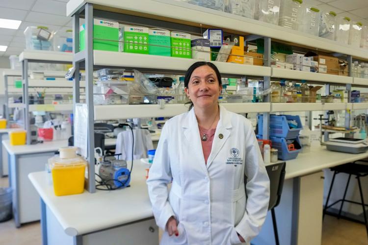 Chile Hantavirus Research