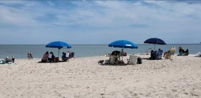 New tool lets beachgoers help protect Delaware’s coast