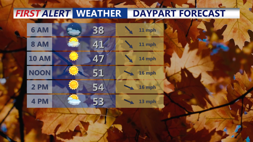 Saturday Day Planner