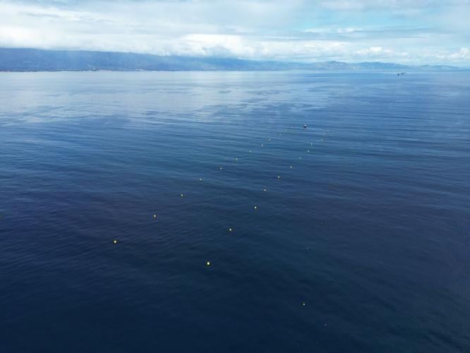 California Kelp Farm