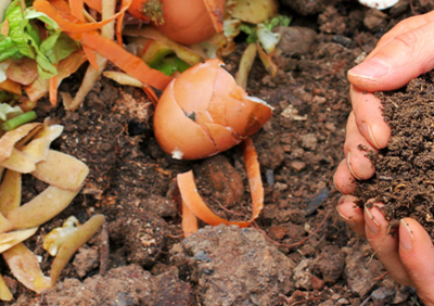 Discounted compost bins