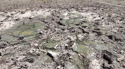 Dry conditions persists across the first state.