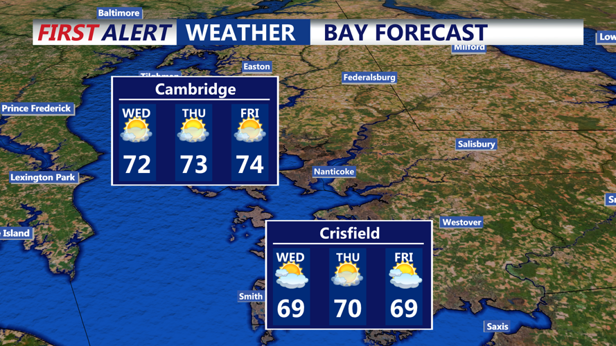 BAY FORECAST