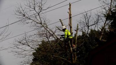 Electric poles