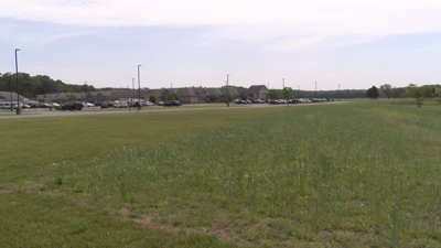 Stockley Center Future Wildflower Meadow