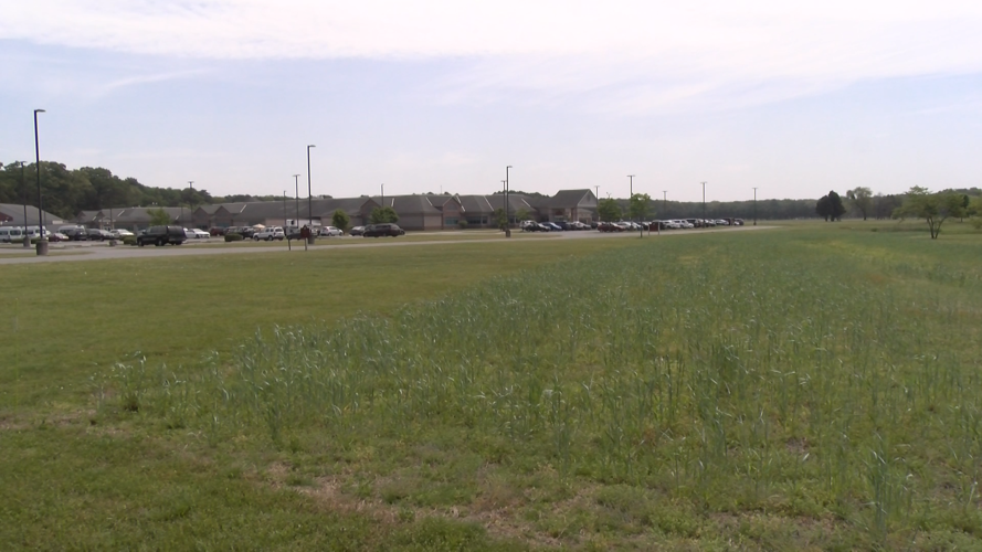 Stockley Center Future Wildflower Meadow