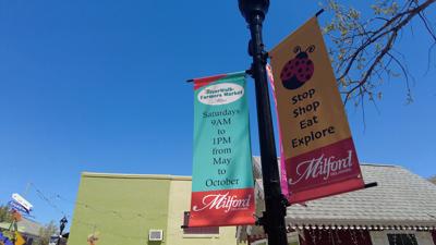Milford City Council Approves Additional $15,000 in Funds for Ladybug Music Festival