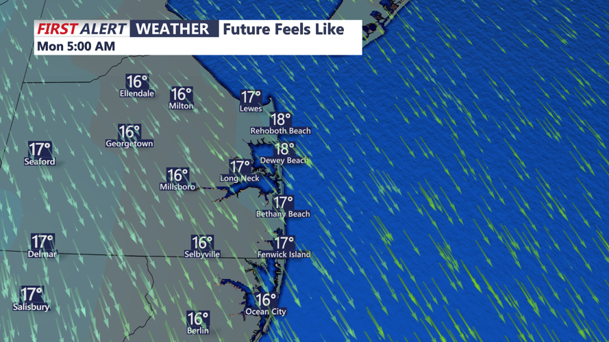 FUTUREFEESLIKE - SUSSEX