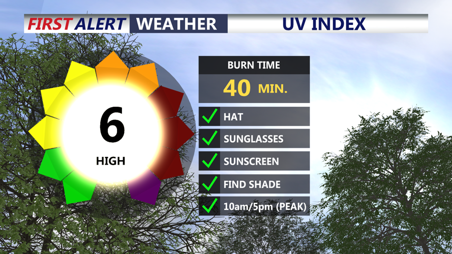 UV INDEX