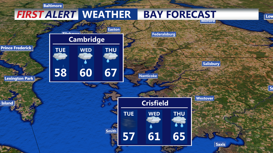 BAY FORECAST