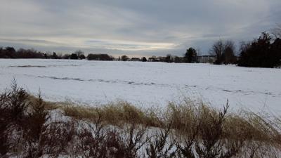 Overfall Preserve