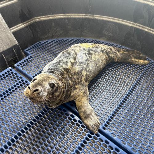 National Response 2.jpg