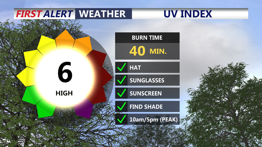 UV INDEX