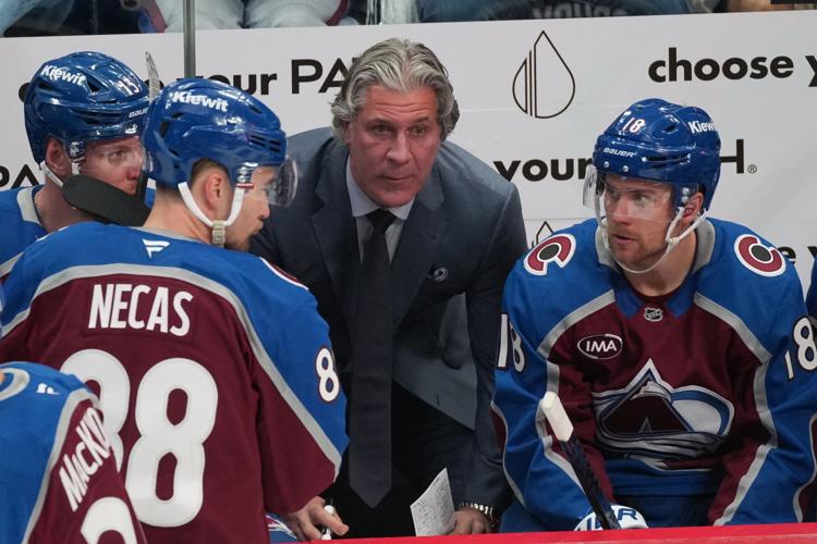 Wild Avalanche Hockey