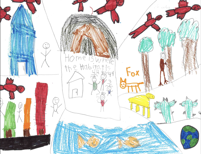 Schrock Sussex Academy students win conservation poster contest