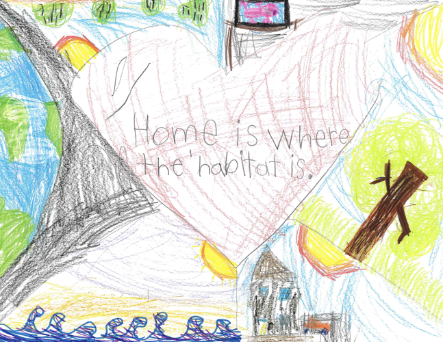 garson Sussex Academy students win conservation poster contest