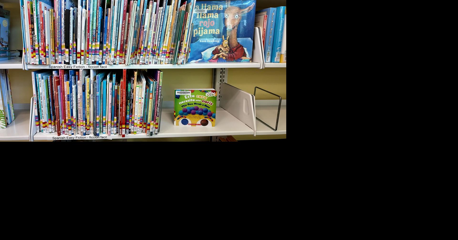 First bilingual summer camp coming to Lewes Public Library | News ...