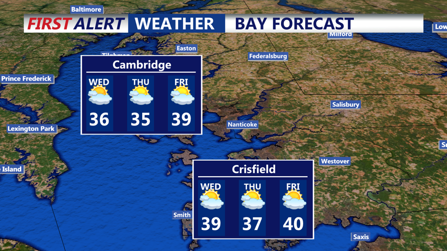 BAY FORECAST