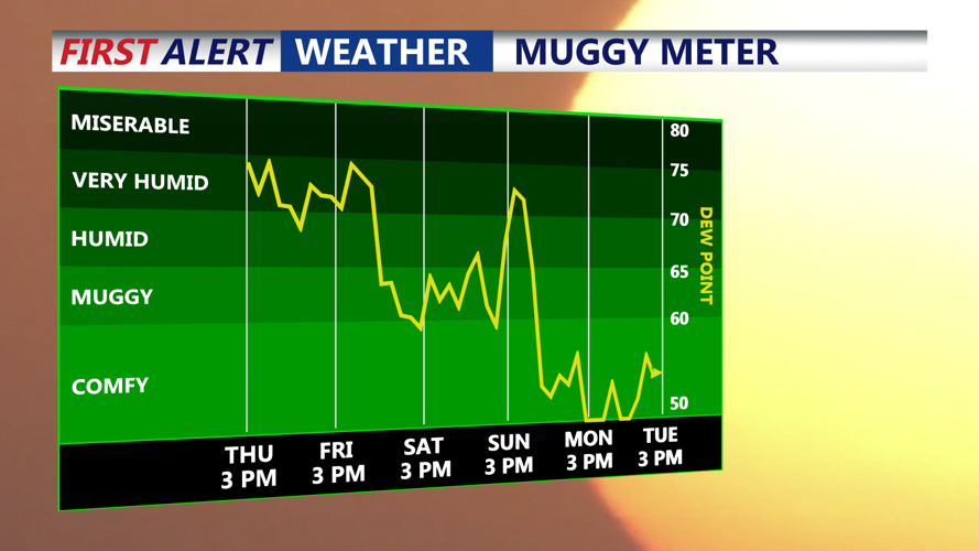 muggy meter