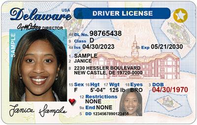 Real ID Driver License example