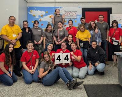 Brandywine Valley SPCA Clear the Shelters