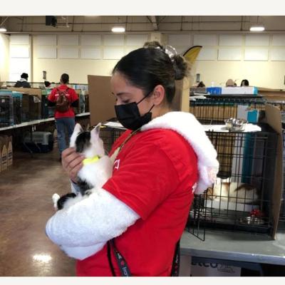 10th bvspca mega adoption 2022