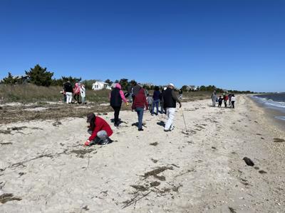 Beach clean up