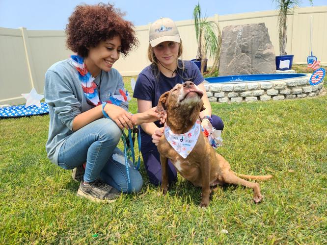 Small Milford pet business marks 15 year milestone